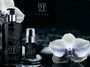 Triumph_of_orchids